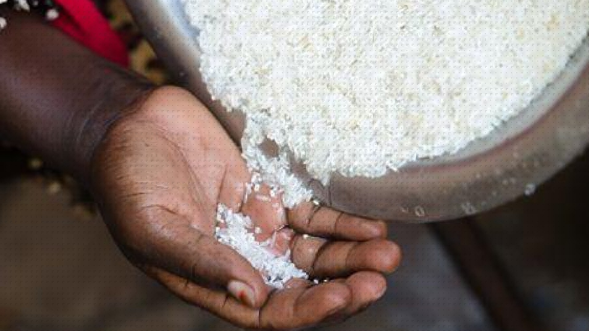 Souveraineté alimentaire : le Sénégal veut mobiliser 2,5 milliards de dollars